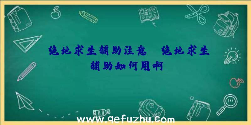 「绝地求生辅助注意」|绝地求生辅助如何用啊